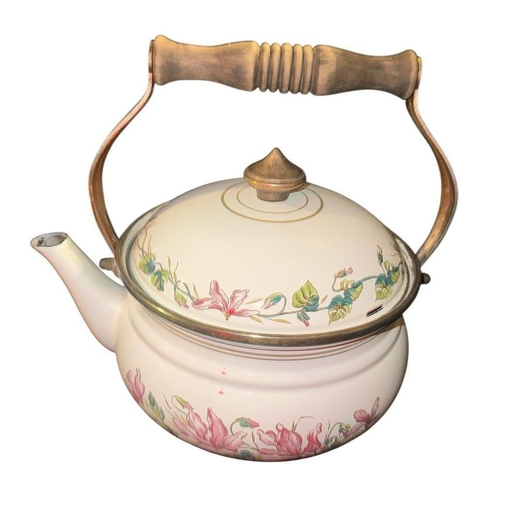 ASTA Enamelware Tea Kettle Teapot Brass Handles Floral Vintage 2 quart Germany
